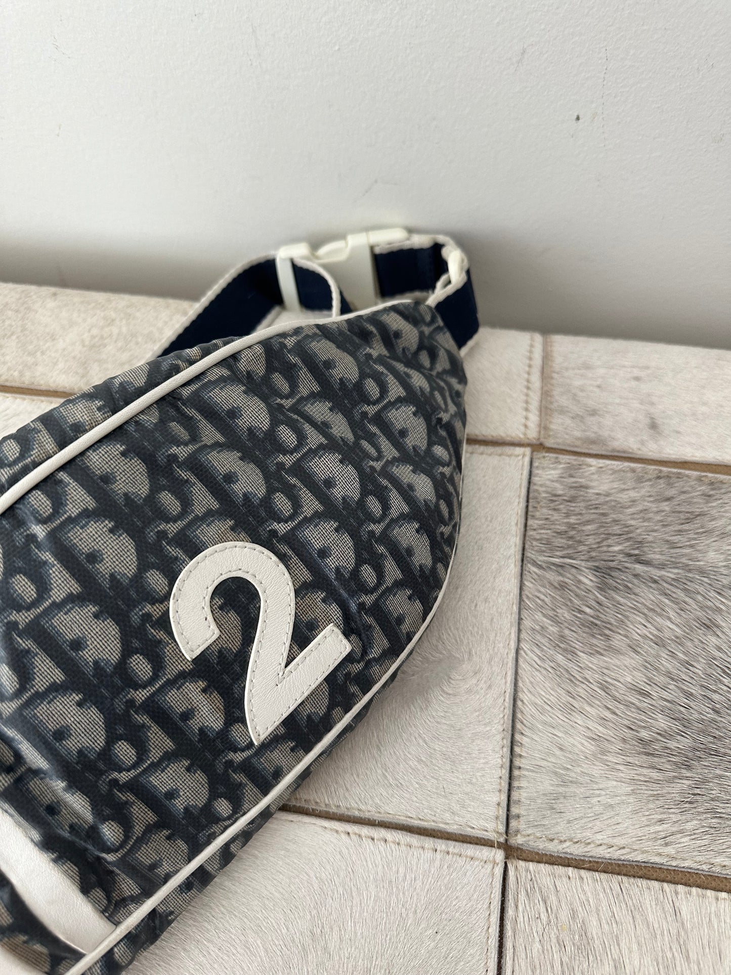 Christian Dior Blue Monogram Trotter Belt Bag