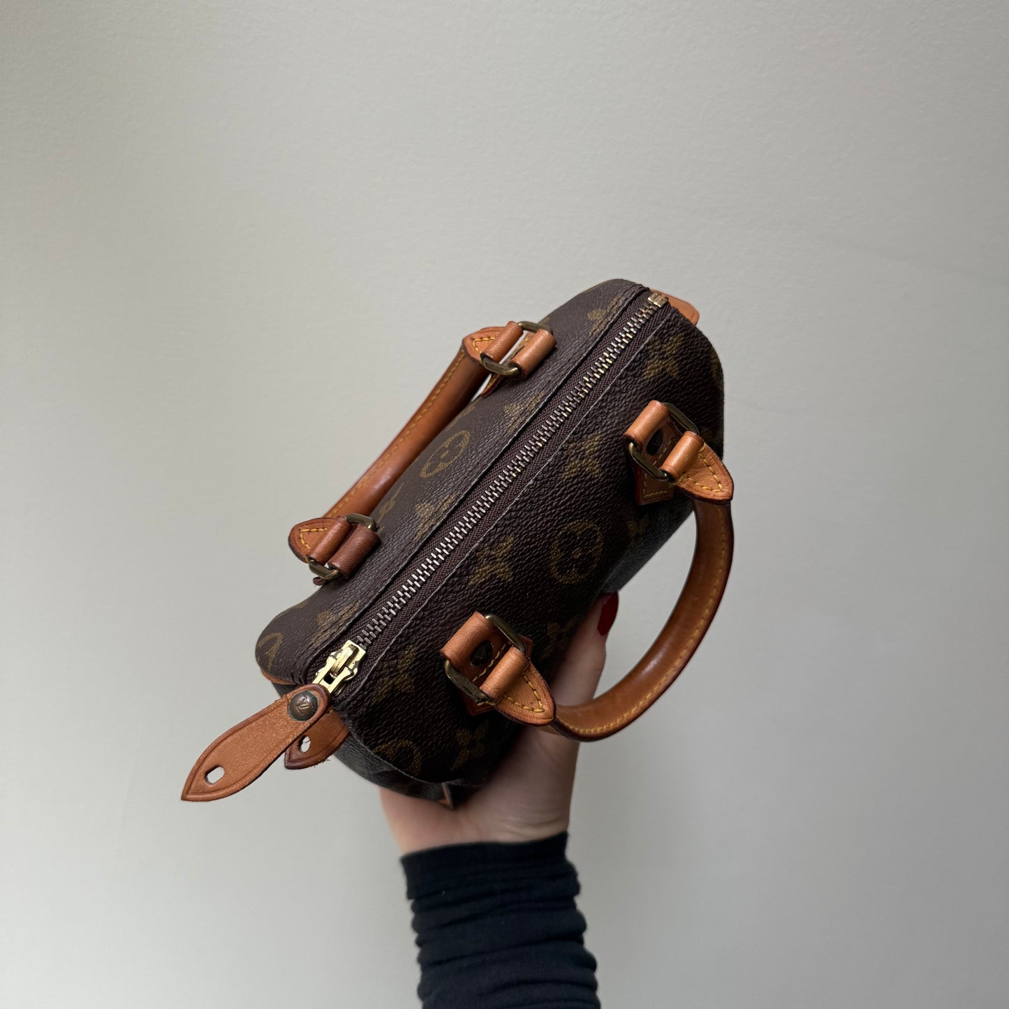 Louis Vuitton Brown Monogram Mini Nano Speedy