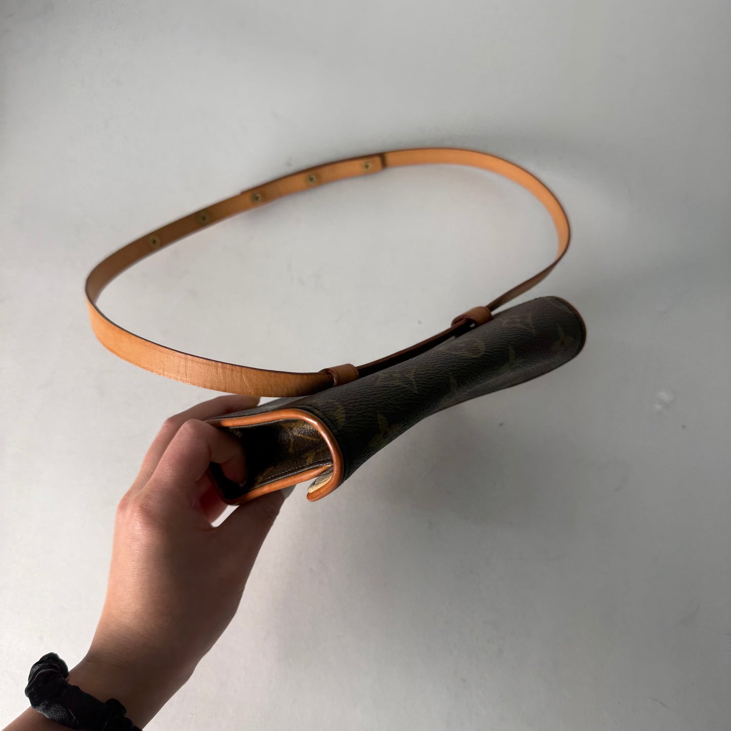 Louis Vuitton Florentine Monogram Belt Bag