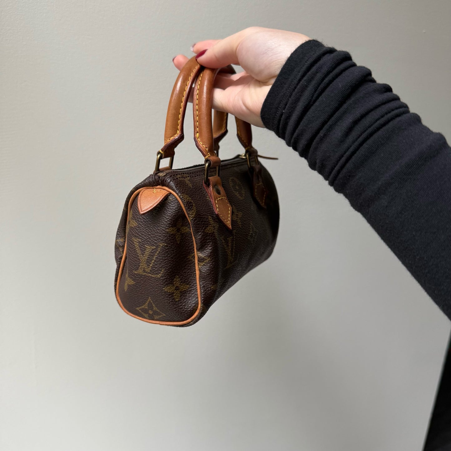Louis Vuitton Brown Monogram Mini Nano Speedy
