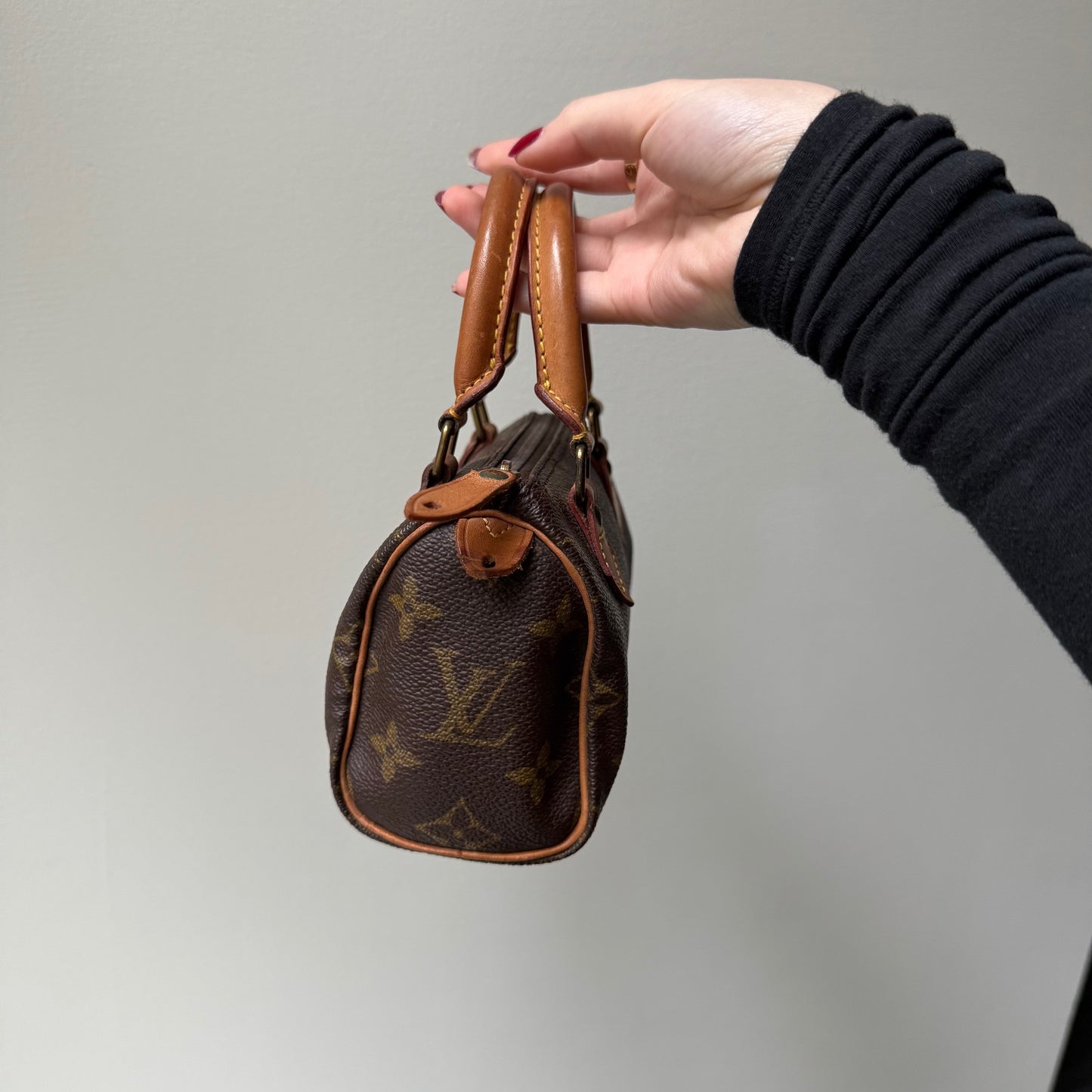 Louis Vuitton Brown Monogram Mini Nano Speedy
